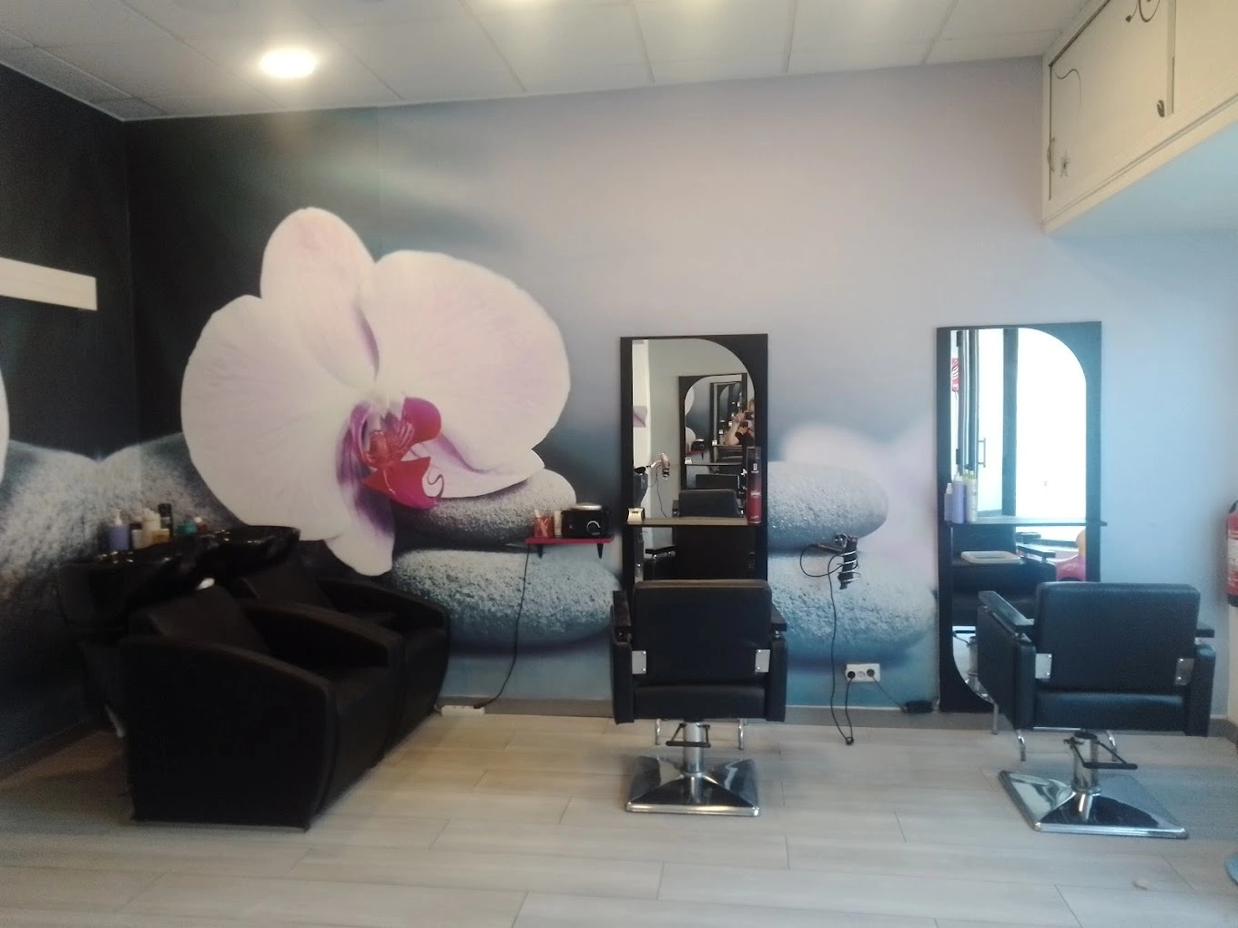 Banner principal de Ro's Peluqueros